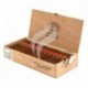 PARTAGAS-SERIE D NO.5 - 2008-899