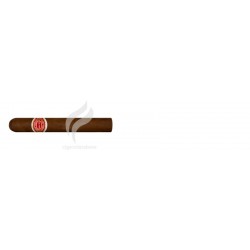 ROMEO Y JULIETA-ROMEO NO.3-260