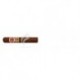 ROMEO Y JULIETA-SHORT CHURCHILLS JAR-1655