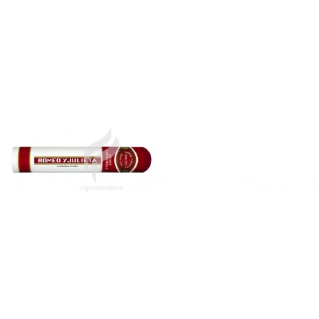 ROMEO Y JULIETA-SHORT CHURCHILLS-262