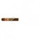 ROMEO Y JULIETA-SHORT CHURCHILLS-263